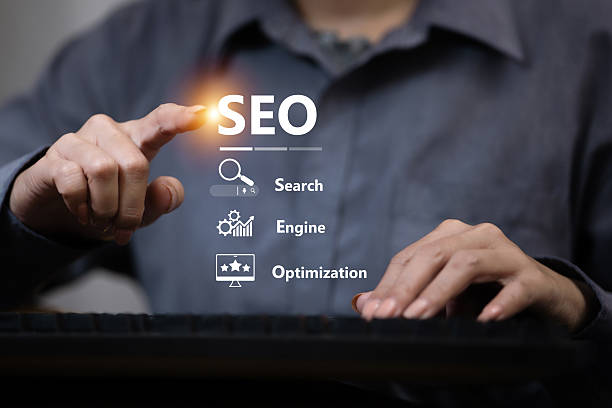 SEO Company in Hisar